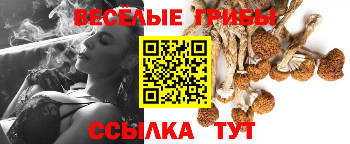 Псилоцибиновые грибы мицелий Киров